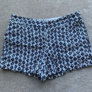 Ann Taylor Loft Shorts